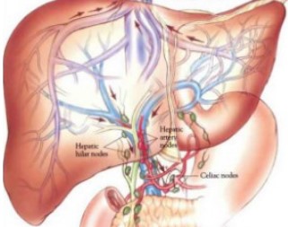 Lymph Drainage Therapy Benefits Part 4